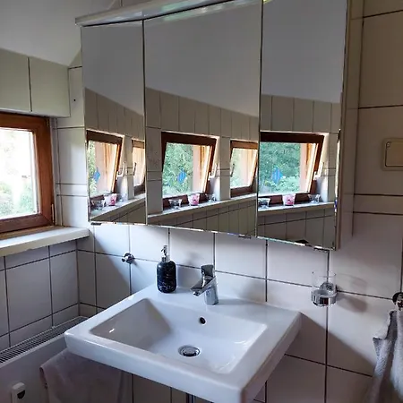 Gemuetliche Ferienwohnung Im Harz Bad Grund Exterior photo