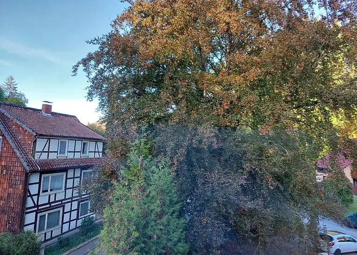 Gemuetliche Ferienwohnung Im Harz