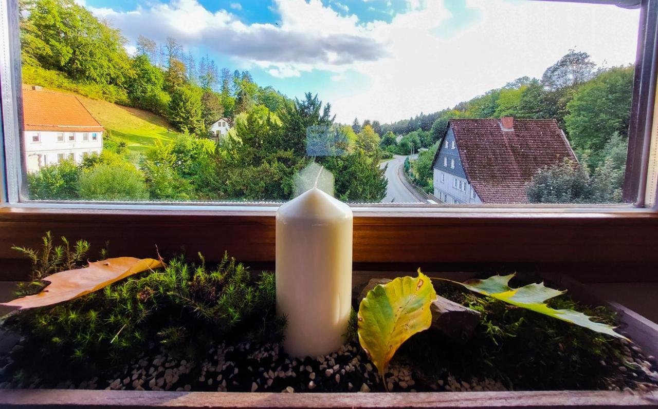 Apartment Gemuetliche Im Harz *